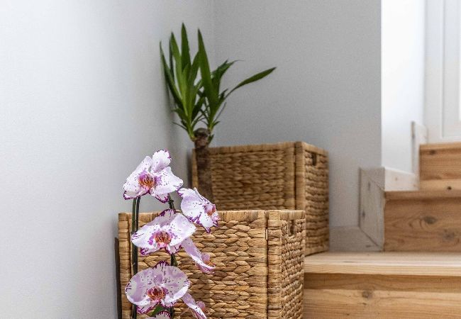 Apartment in Villefranche-sur-Mer - CASA FERACCI Apartment in Villefranche-sur-Mer - CASA FERACCI