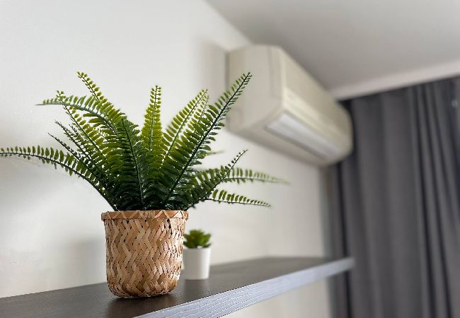 Appartement à Cap-d´Ail - COSTA PLANA 1 Appartement à Cap-d´Ail - COSTA PLANA 1