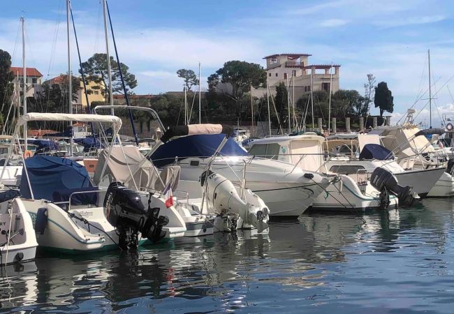 Appartement à Beaulieu-sur-Mer - DUJARDIN Appartement à Beaulieu-sur-Mer - DUJARDIN