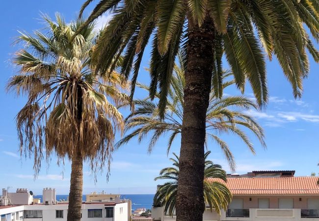 Appartement à Beaulieu-sur-Mer - DUJARDIN Appartement à Beaulieu-sur-Mer - DUJARDIN