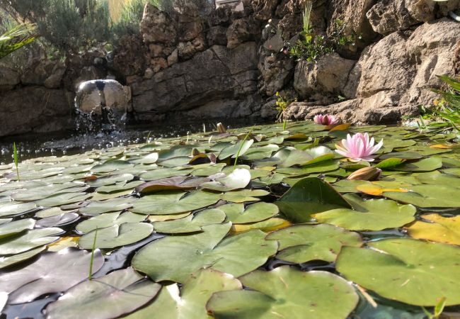 Appartement à Beaulieu-sur-Mer - DUJARDIN Appartement à Beaulieu-sur-Mer - DUJARDIN