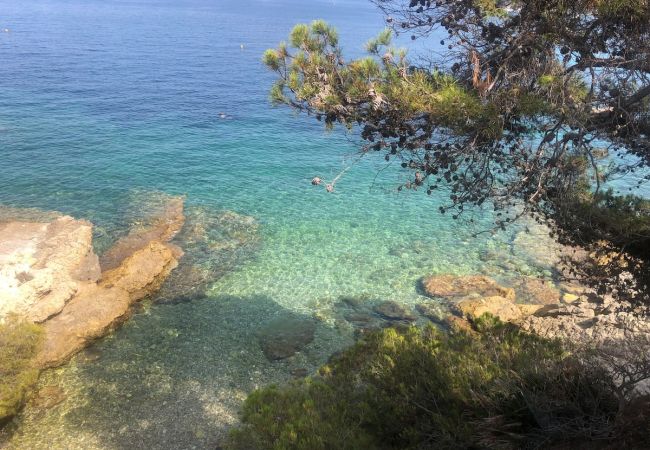 Appartement à Beaulieu-sur-Mer - DUJARDIN Appartement à Beaulieu-sur-Mer - DUJARDIN